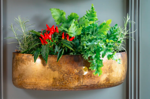 Wall Planter Set  Antiqued Brass Galvanised Metal with Vintage Charm