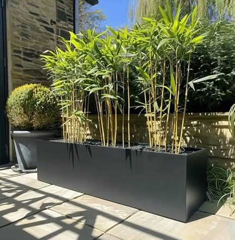 Galvanised Aluzinc Planter – Rust & Frost Resistant Outdoor Indoor Plant Pot