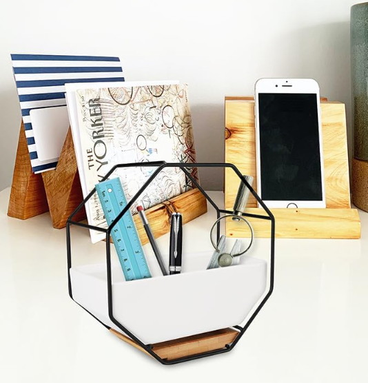 Wall Planter Geometric Octagon Design with Ceramic Pot & Metal Frame