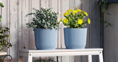 Set of 3 Plastic Planters – Stackable Indoor & Outdoor Plant Pots