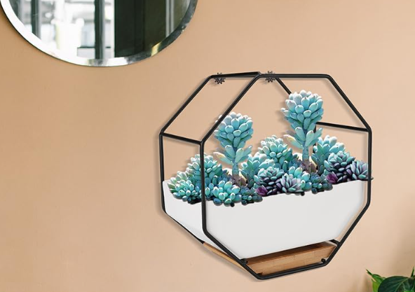 Wall Planter Geometric Octagon Design with Ceramic Pot & Metal Frame