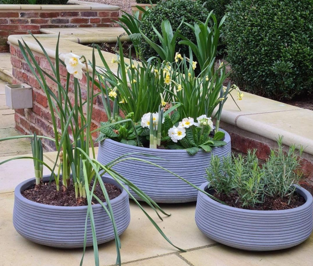 Garden Shallow Plant Pot with Drainage Holes – Fiberstone Round Bowl Planter