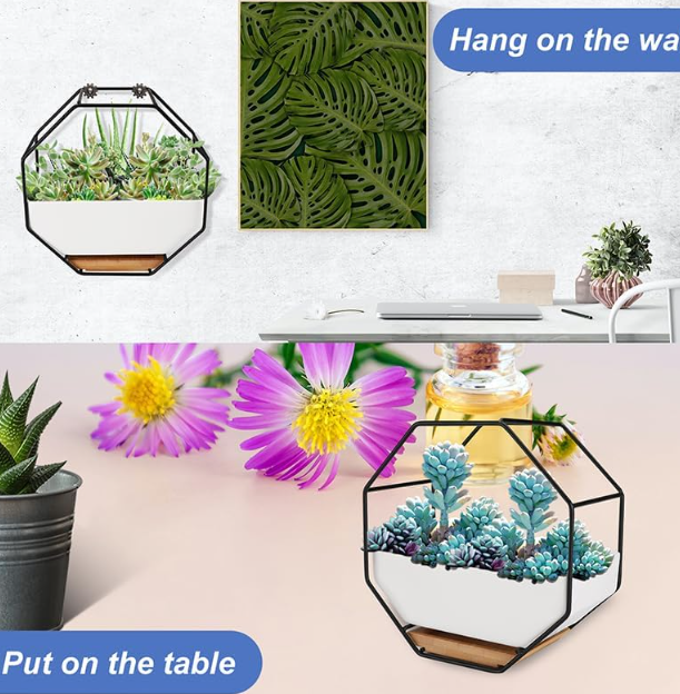 Wall Planter Geometric Octagon Design with Ceramic Pot & Metal Frame